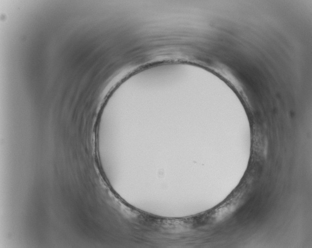 X0000062170807200512121239