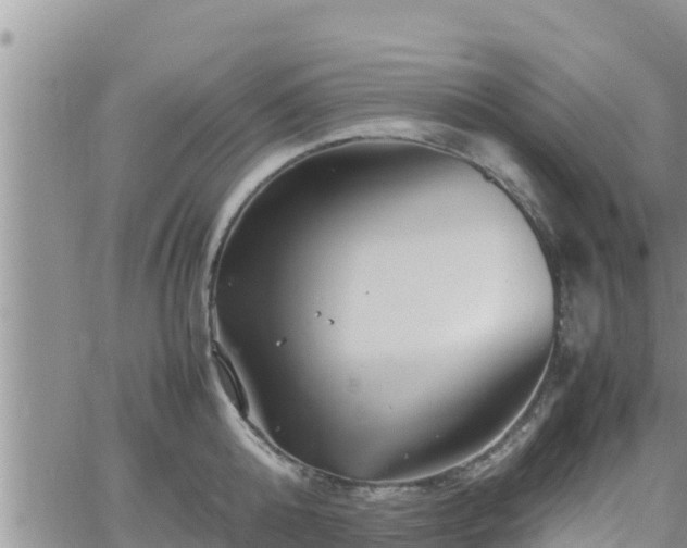 X0000062170808200512121239