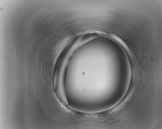 X0000062170809200512121239