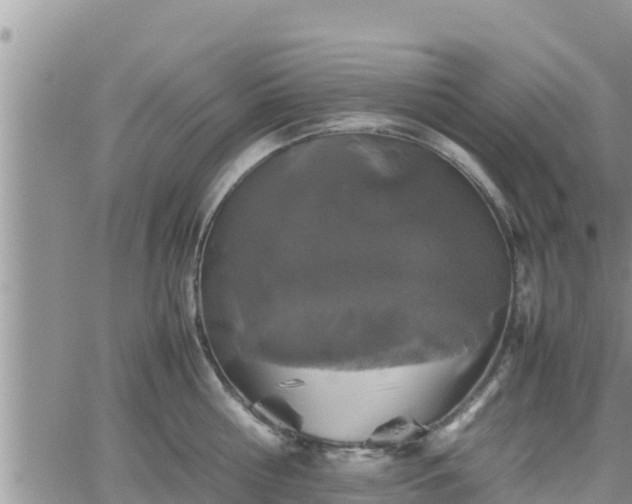 X0000062170810200512121239