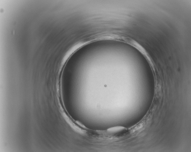 X0000062170811200512121239