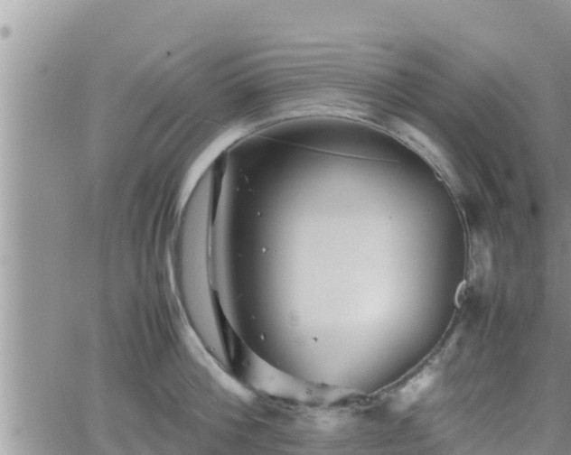 X0000062170812200512121239