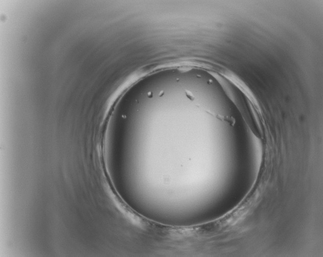 X0000062170813200512121239