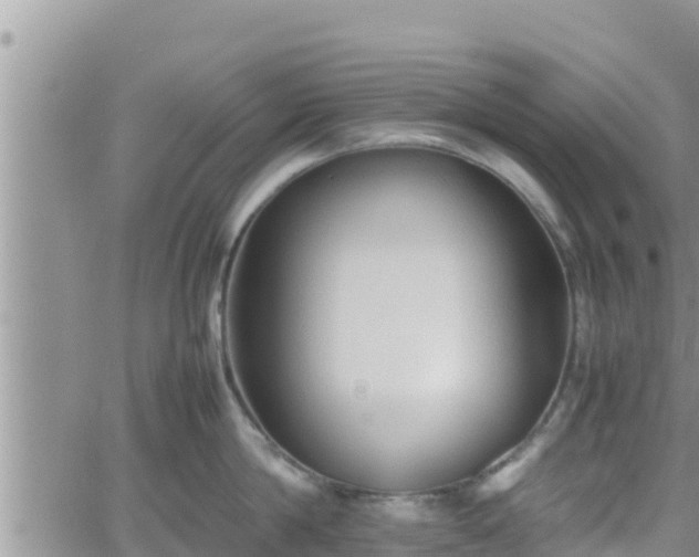 X0000062170814200512121239