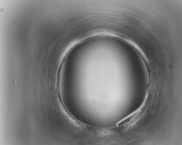 X0000062170815200512121239