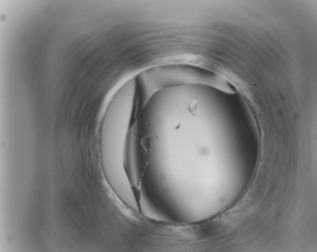 X0000062170816200512121239