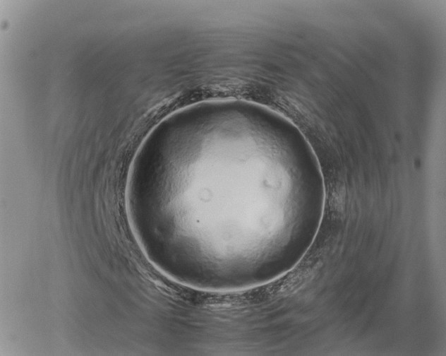 X0000062170817200512121238