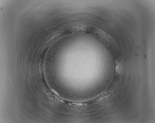 X0000062170819200512121238