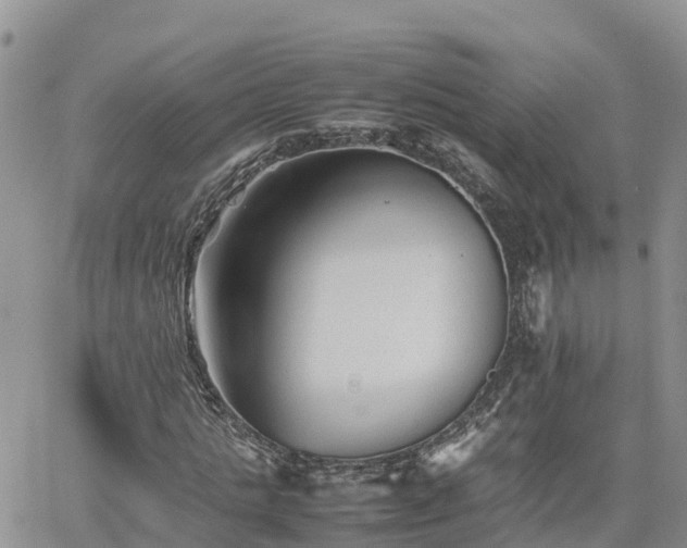 X0000062170821200512121238