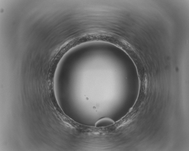 X0000062170822200512121238