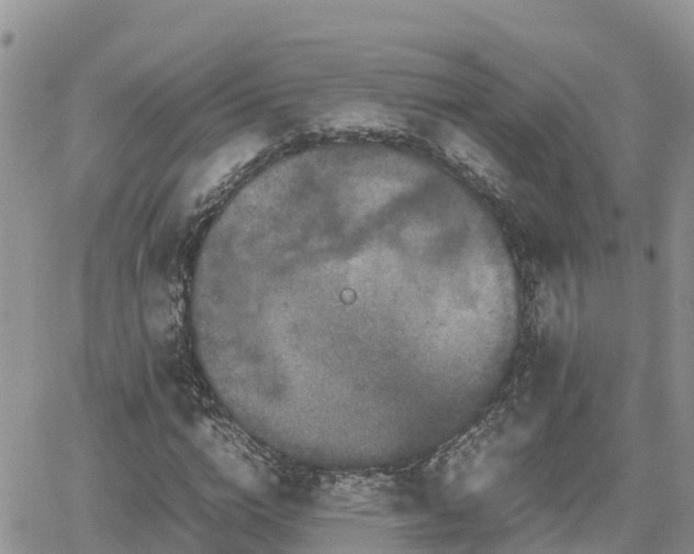 X0000062170824200512121238