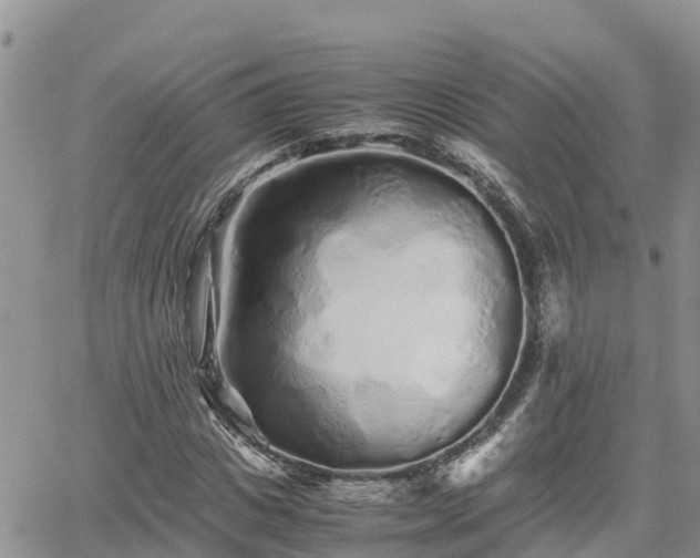 X0000062170825200512121238