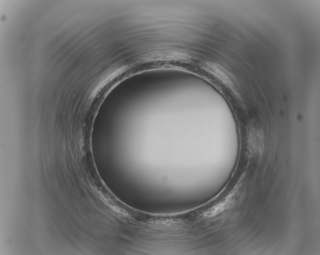 X0000062170826200512121238