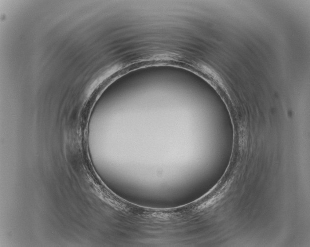 X0000062170827200512121238