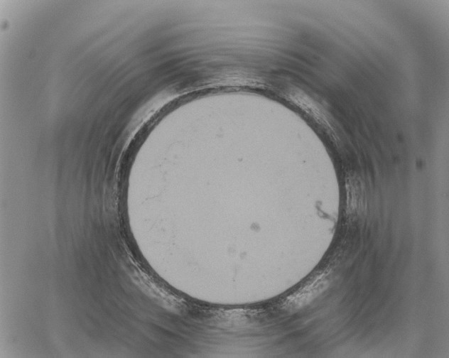 X0000062170828200512121238