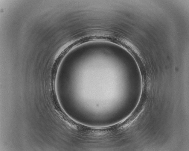 X0000062170829200512121238