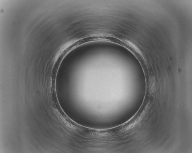 X0000062170831200512121238