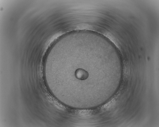 X0000062170832200512121238