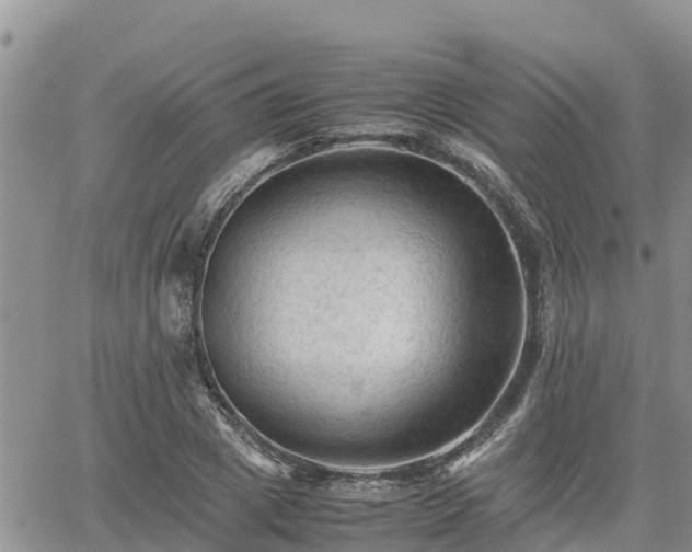 X0000062170833200512121238