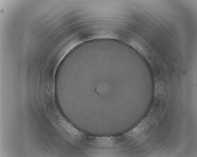 X0000062170836200512121238