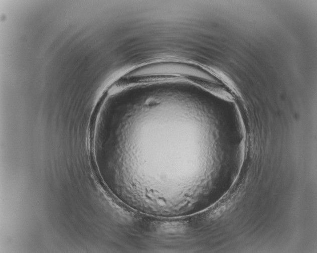 X0000062170839200512121238