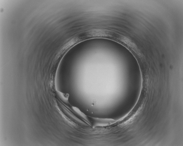 X0000062170841200512121238