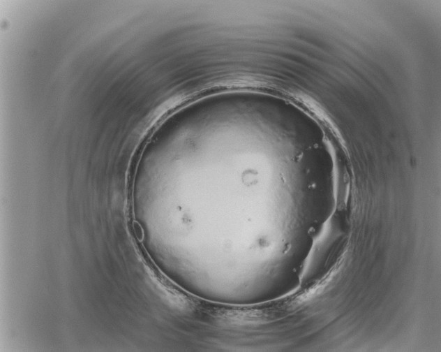 X0000062170845200512121238