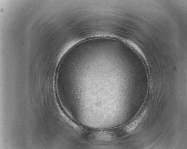 X0000062170847200512121238