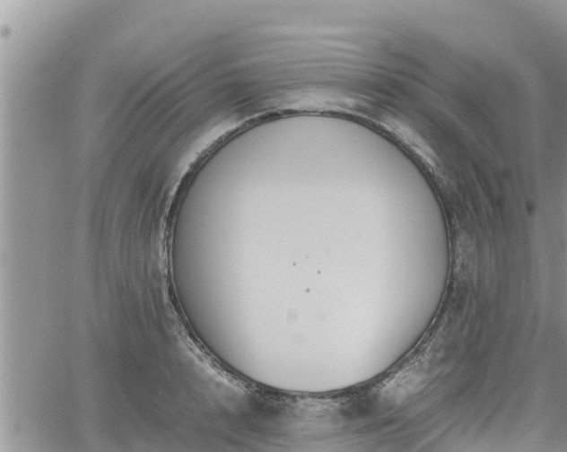 X0000062170848200512121238