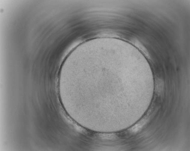 X0000062170856200512121239