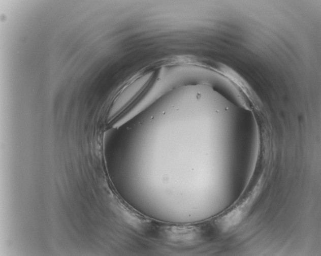 X0000062170857200512121239