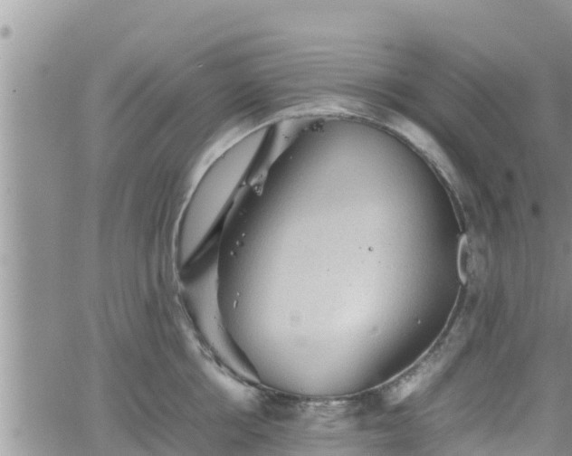 X0000062170858200512121239