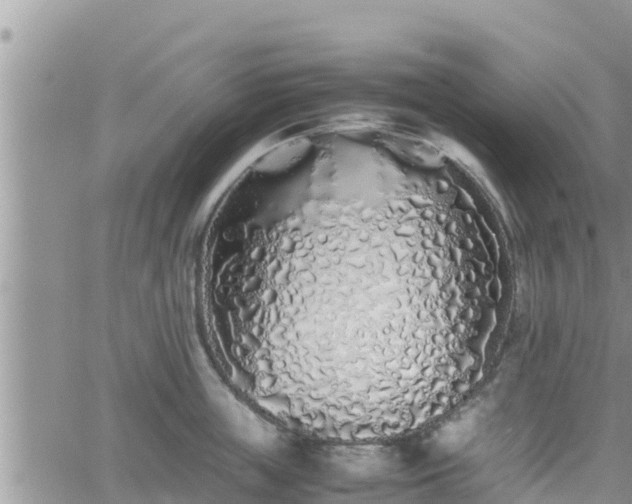 X0000062170859200512121239