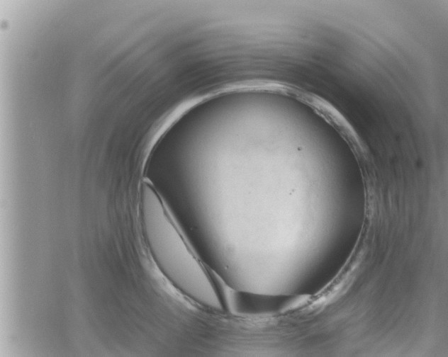 X0000062170860200512121239