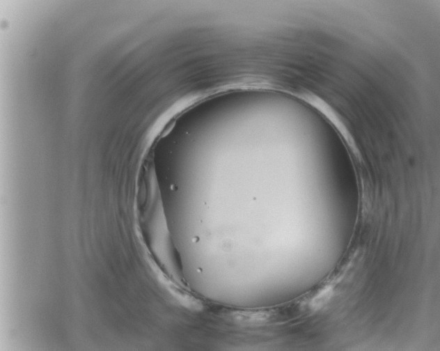 X0000062170861200512121239