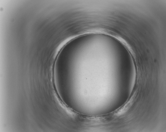 X0000062170862200512121239