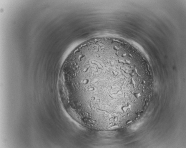 X0000062170863200512121239