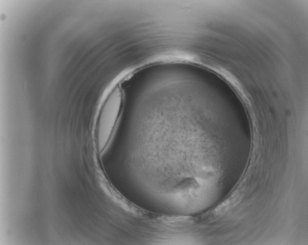 X0000062170864200512121239