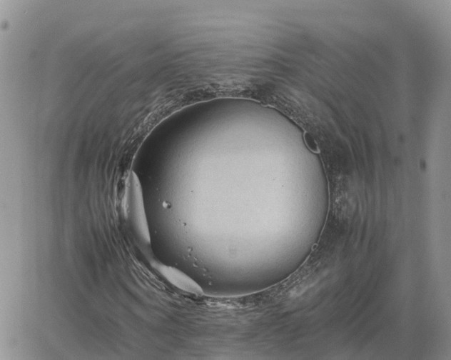 X0000062170866200512121238