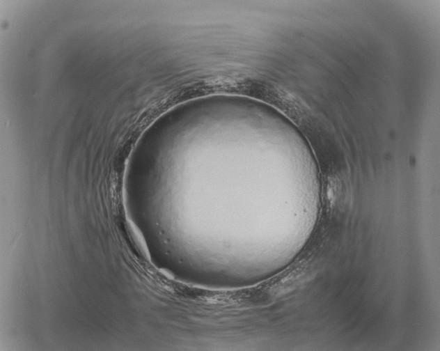 X0000062170867200512121238