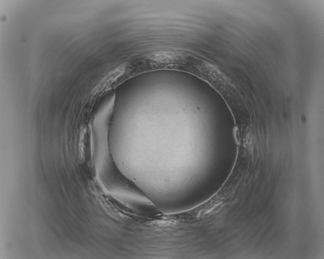 X0000062170868200512121238