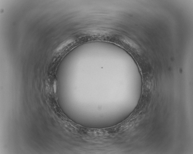 X0000062170869200512121238