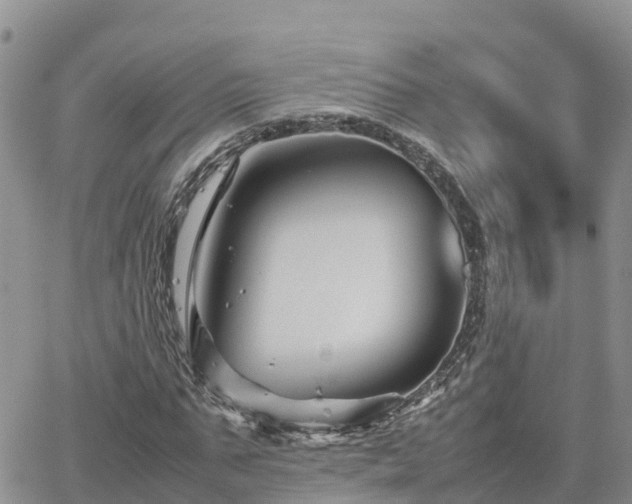 X0000062170871200512121238