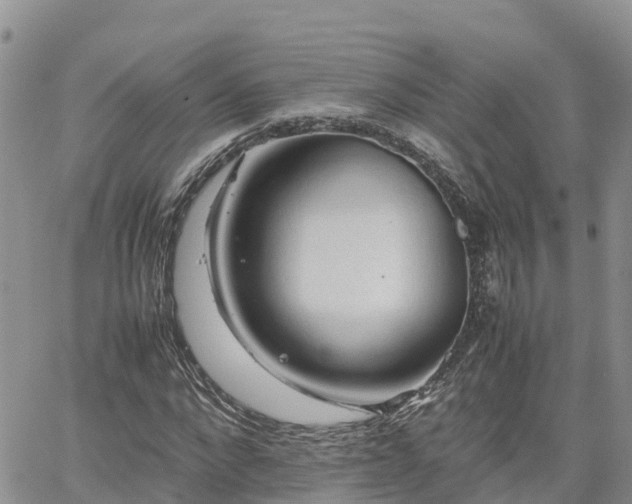 X0000062170872200512121238