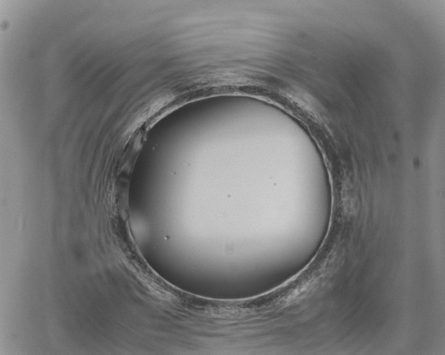 X0000062170873200512121238