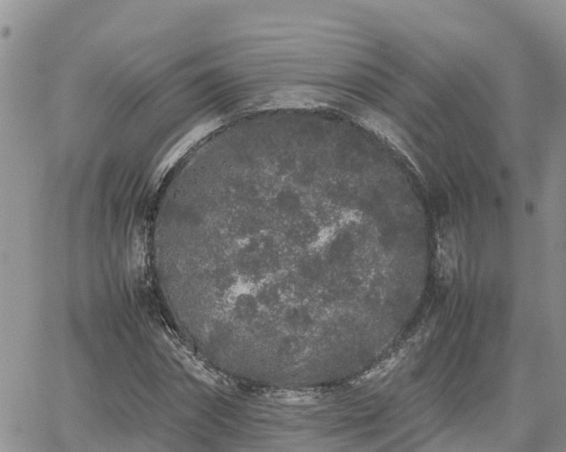 X0000062170874200512121238