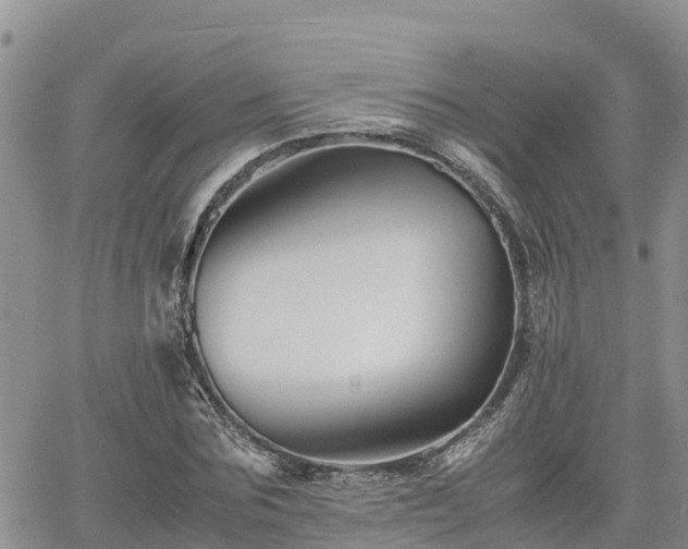 X0000062170875200512121238