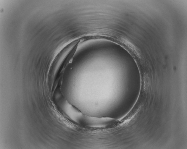 X0000062170876200512121238