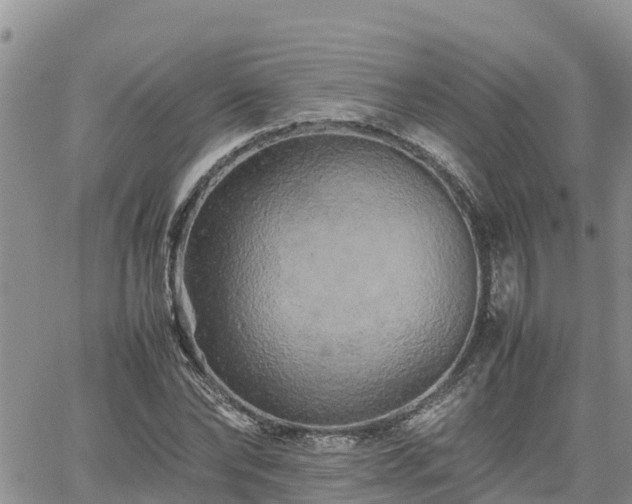 X0000062170878200512121238