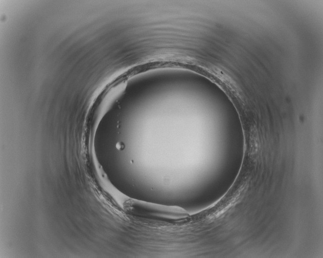 X0000062170880200512121238